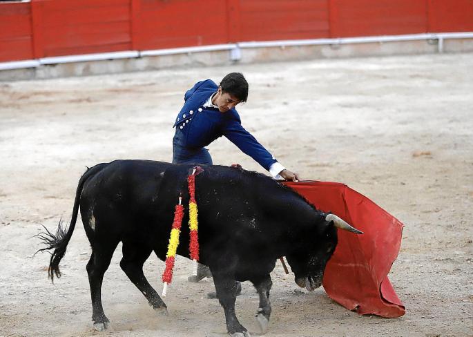 Wir Wollen Stierkampf Auf Mallorca So Unbequem Wie Moglich Machen