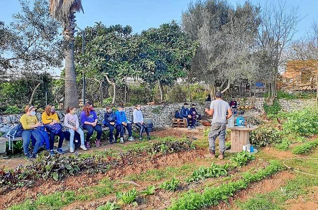 Garten-Tipps auf Mallorca