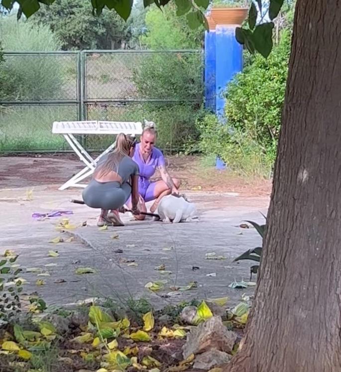 Nadescha Leitze (r.) und Lisha Savage bei der Aktion auf der Kaltwasser-Finca Rettungsaktion am Mittwochnachmittag.