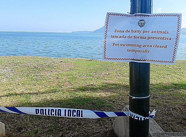 Vorübergehend geschlossen: Der "Hundestrand" in Pollença.