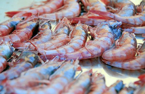 Die Rote Gamba ist auf Mallorca eine gefragte Delikatesse.