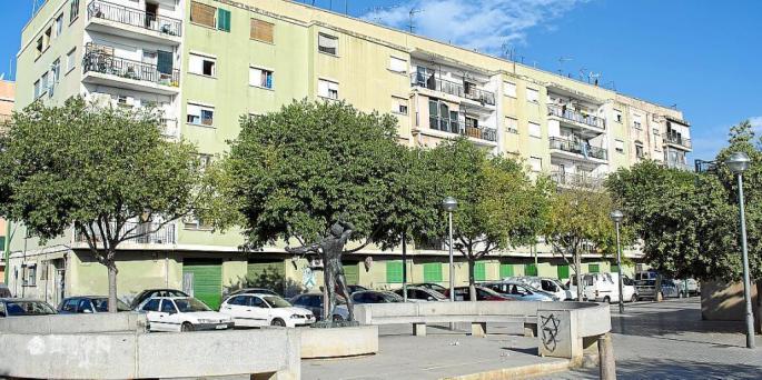 Son Gotleu gilt als einer der Brennpunkte auf Mallorca.