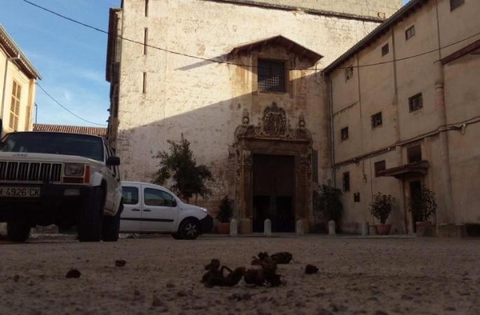 Großer Streit um großen Haufen im Hof der Santa-Clara-Kirche in Palma de Mallorca.