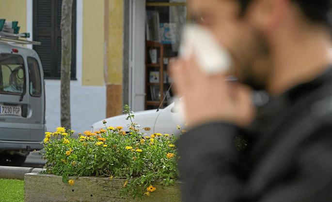 Blühende Gräser sind für Heuschnupfen-Patienten ein Greuel.