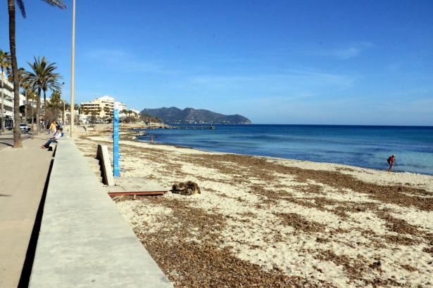 Der Strand von Cala Millor gibt derzeit kein gutes Bild ab.