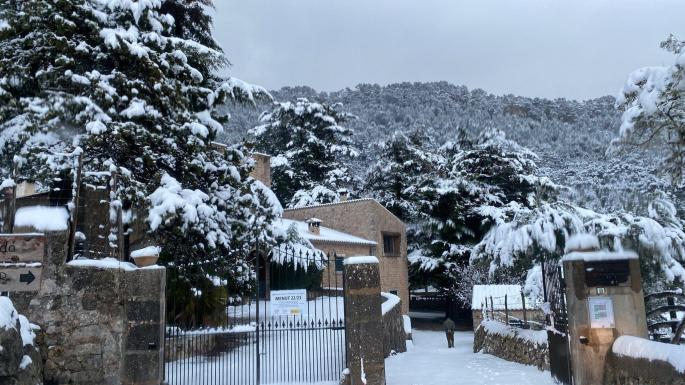 Zentimeterdick liegt der Schnee an einigen Orten im Tramuntana-Gebirge.
