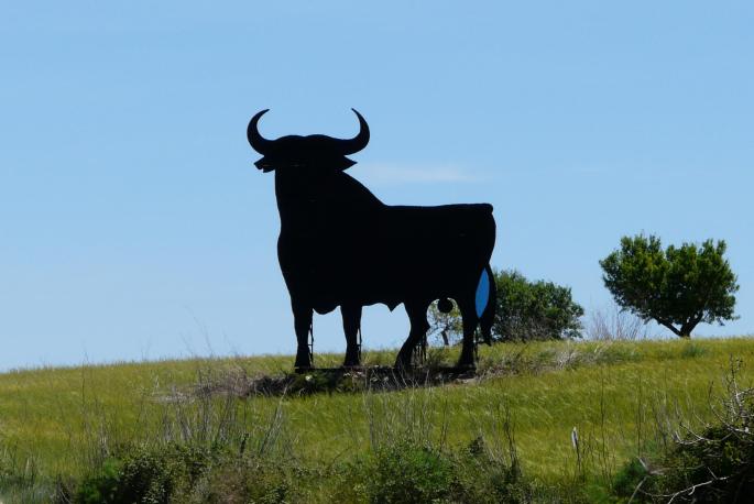Die meterhohe Werbetafel in Stierform befindet sich an der Schnellstraße zwischen Palma und Manacor.