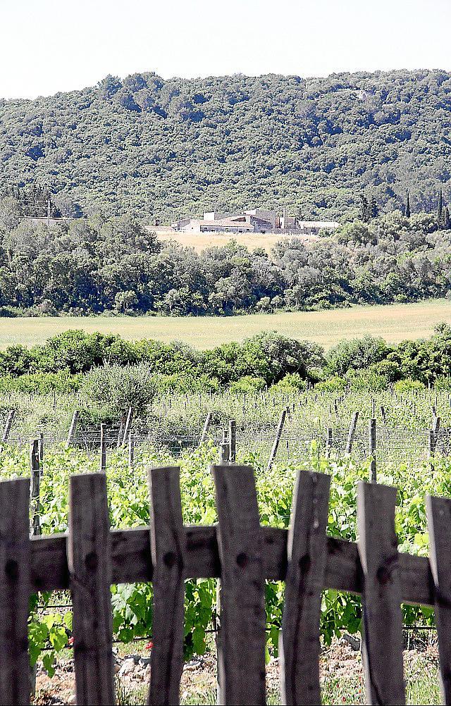 finca bodega can axartell pollença