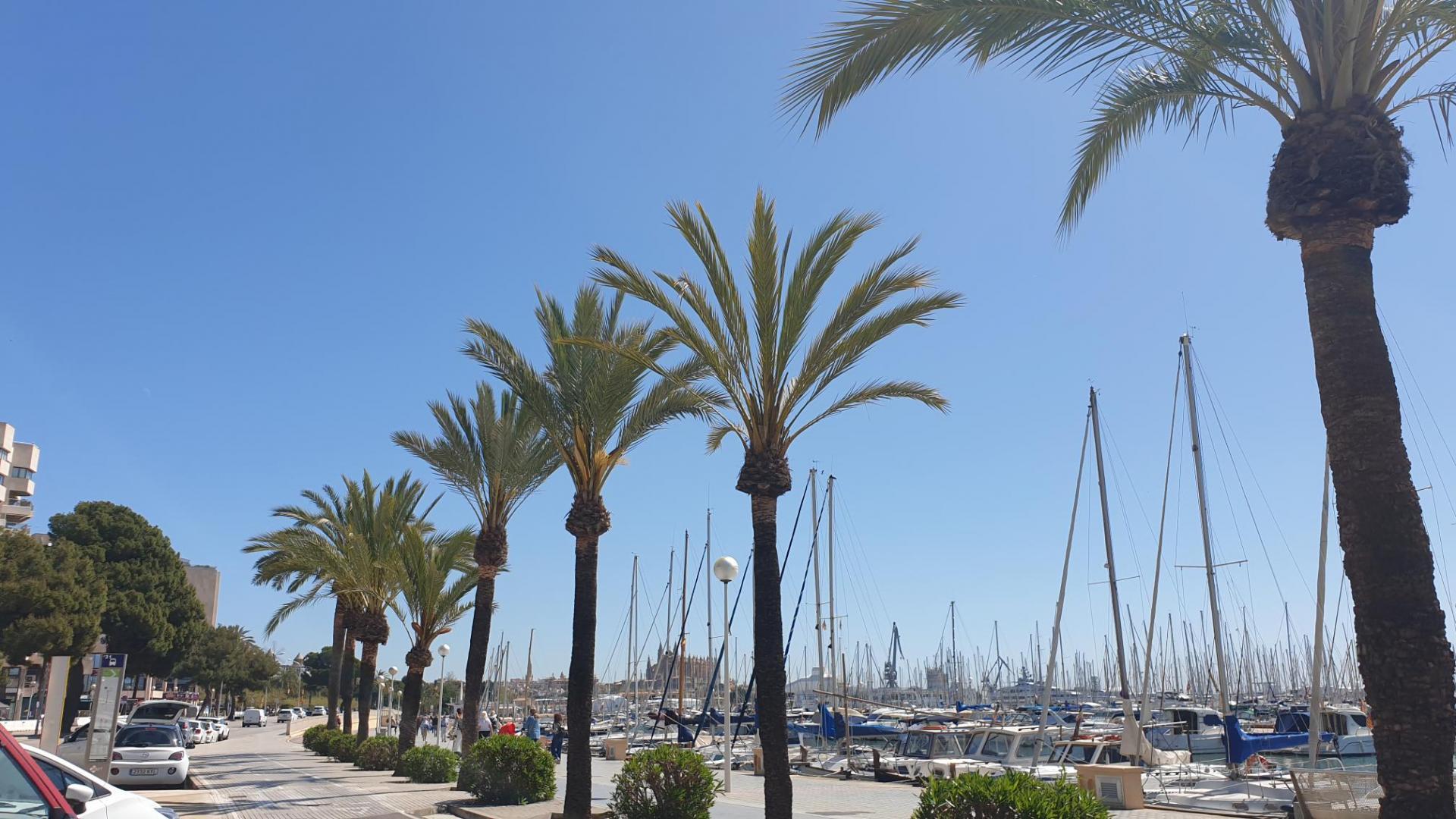 So wird das Wetter in den kommenden Tagen auf Mallorca