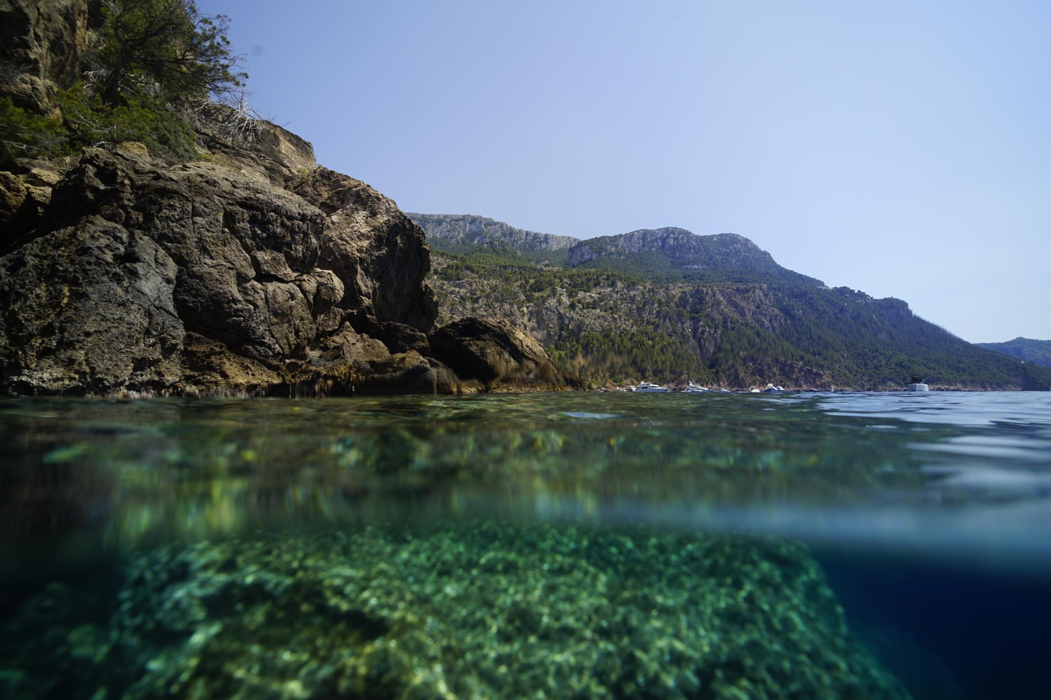 Der Wandel Ist In Vollem Gange All Das Tut Sich Auf Mallorca In Sachen der-wandel-ist-in-vollem-gange-all-das-tut-sich-auf-mallorca-in-sachen