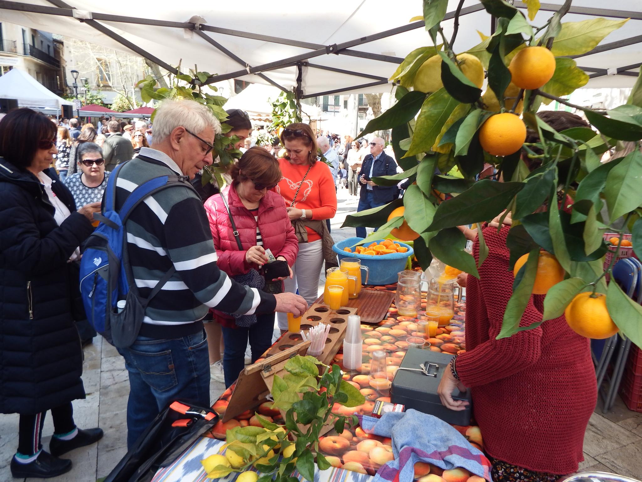  Orangenfest in Sóller Motiv 