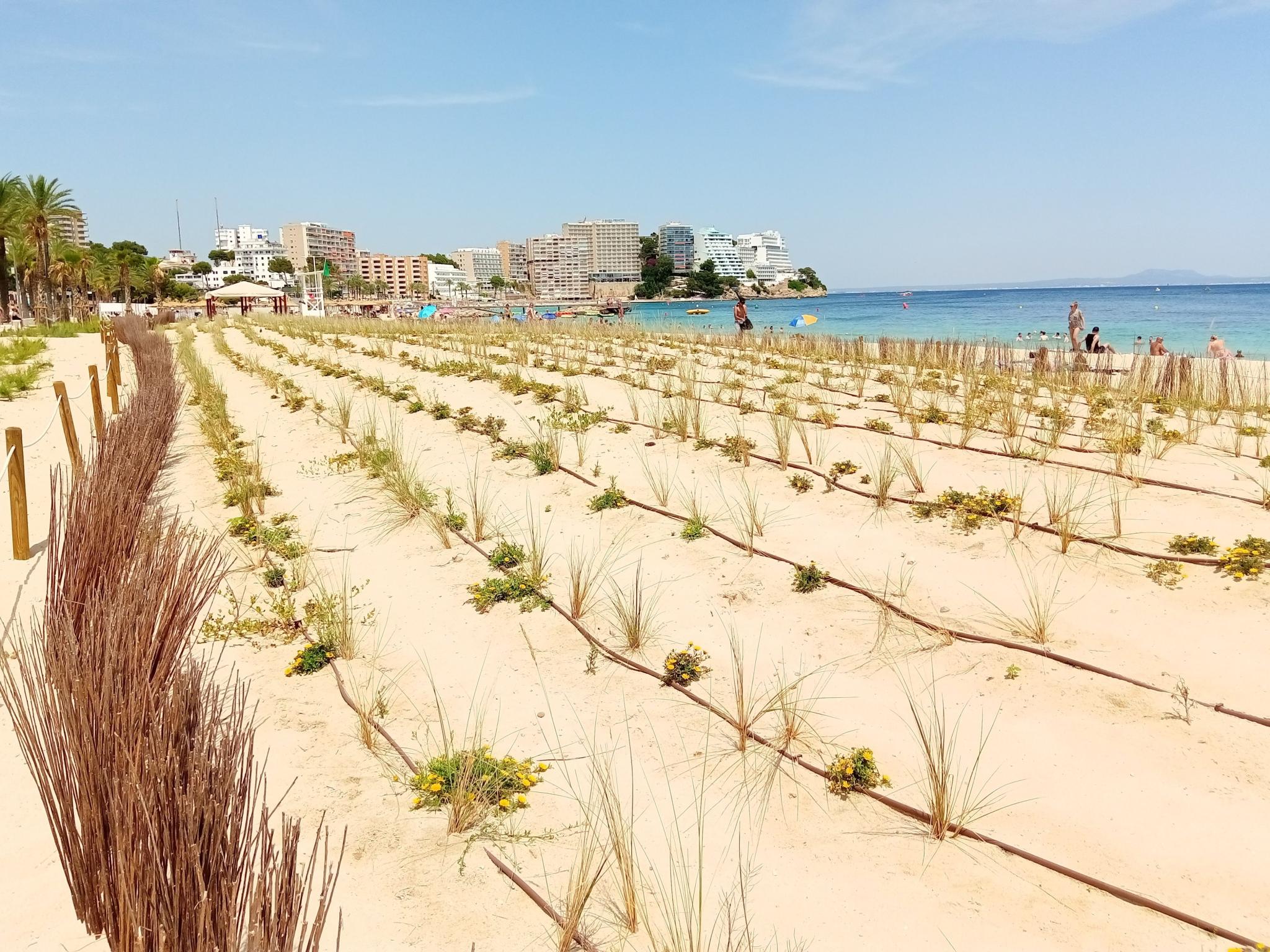 magaluf6.jpg