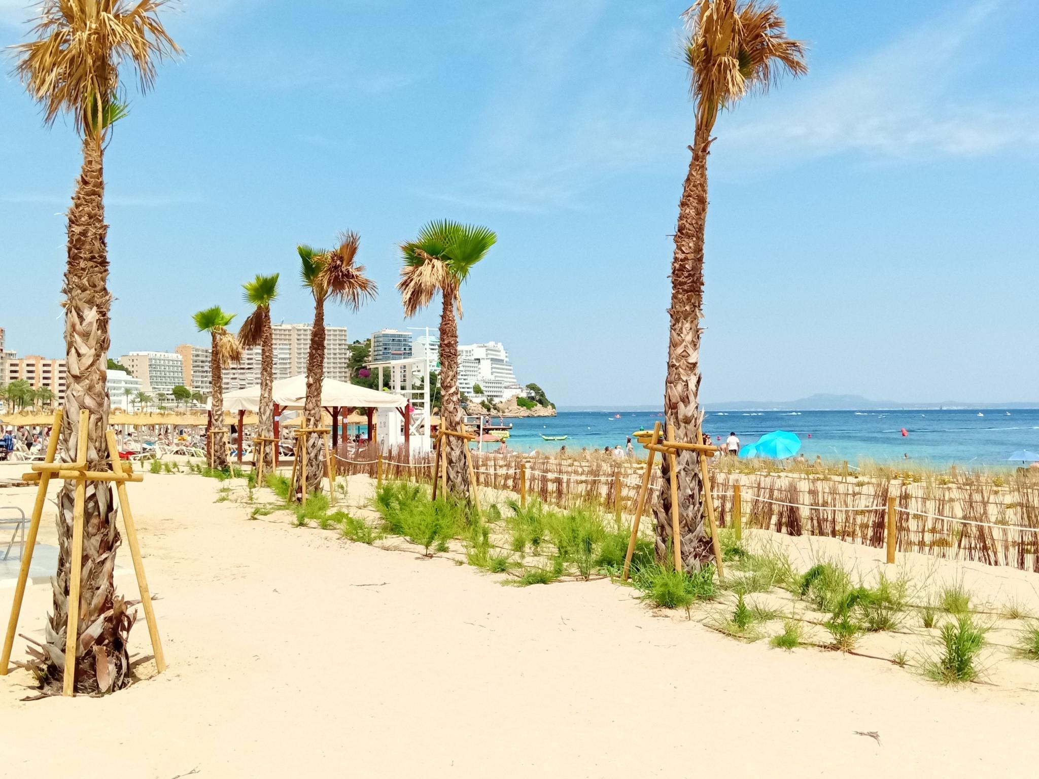 magaluf12.jpg