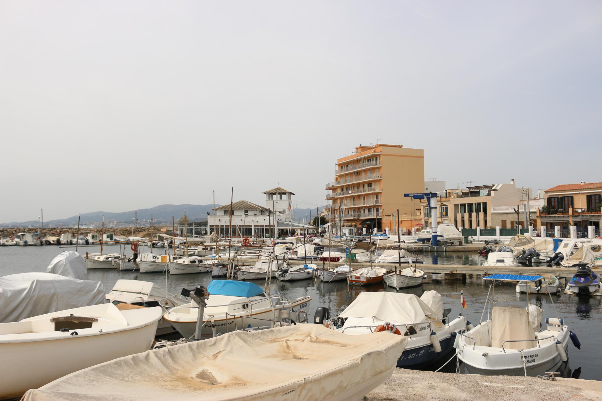 Fotogalerie Eindrücke aus El Molinar April 2015