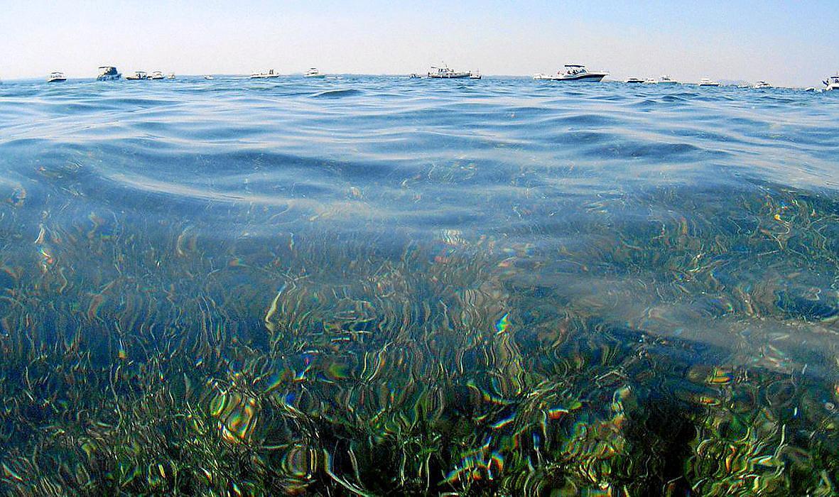 Ministerium zeigt Eigner von sieben illegal ankernden Yachten an