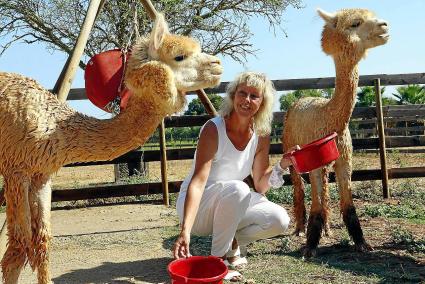 Iris Haider hat die neugierigen Tiere ins Herz geschlossen. Auf ihrer Finca haben die Alpakas viel Bewegungsfreiheit.