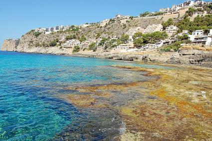 Der Traum von der Zweitimmobilie am Meer wie hier in der Cala Llamp im Südwesten von Mallorca ist für potenzielle Käufer nördlich der Alpen weiter von Interesse.