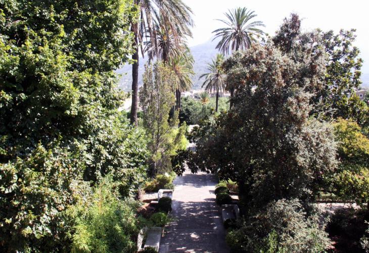 Botanischer Garten in Sóller