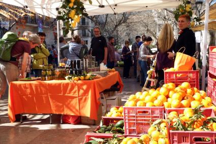 Höhepunkt der Orangenmesse in Sóller ist ein Markt am 2. und 3. April.