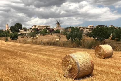 Heuballen auf einem Feld auf Mallorca.