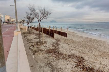 Der Strand soll nicht noch schmaler werden, als er ohnehin schon ist.