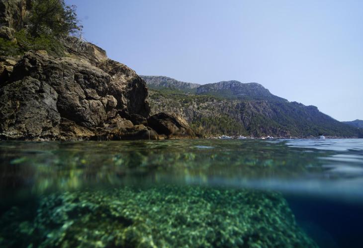 Das Ziel der Nachhaltigkeit: Mallorca vor dem Hintergrund des Klimawandels widerstandsfähig zu machen sowie die Umwelt und das Leben zu schützen.