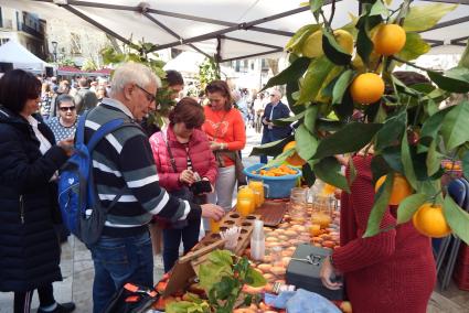 SOLLER - FERIAS - CELEBRACION DE LA XIII ediciÃ³n de la Fira de la Taronja