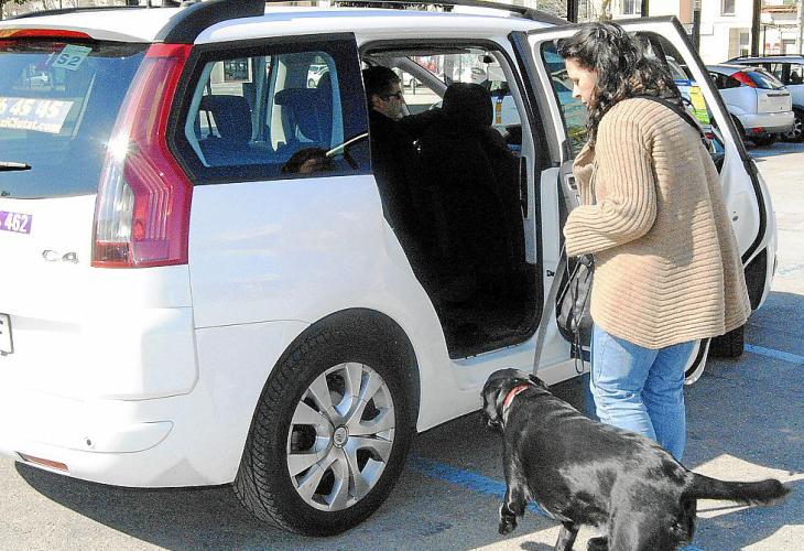 Bisher hatten Hundebesitzer hin und wieder Schwierigkeiten, ein Taxi zu finden. Das soll sich nun endgültig ändern.