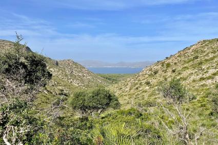 Wanderung Halbinsel La Victòria