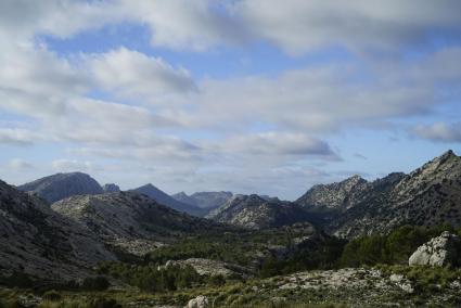 Es grünt so grün auf Mallorca.