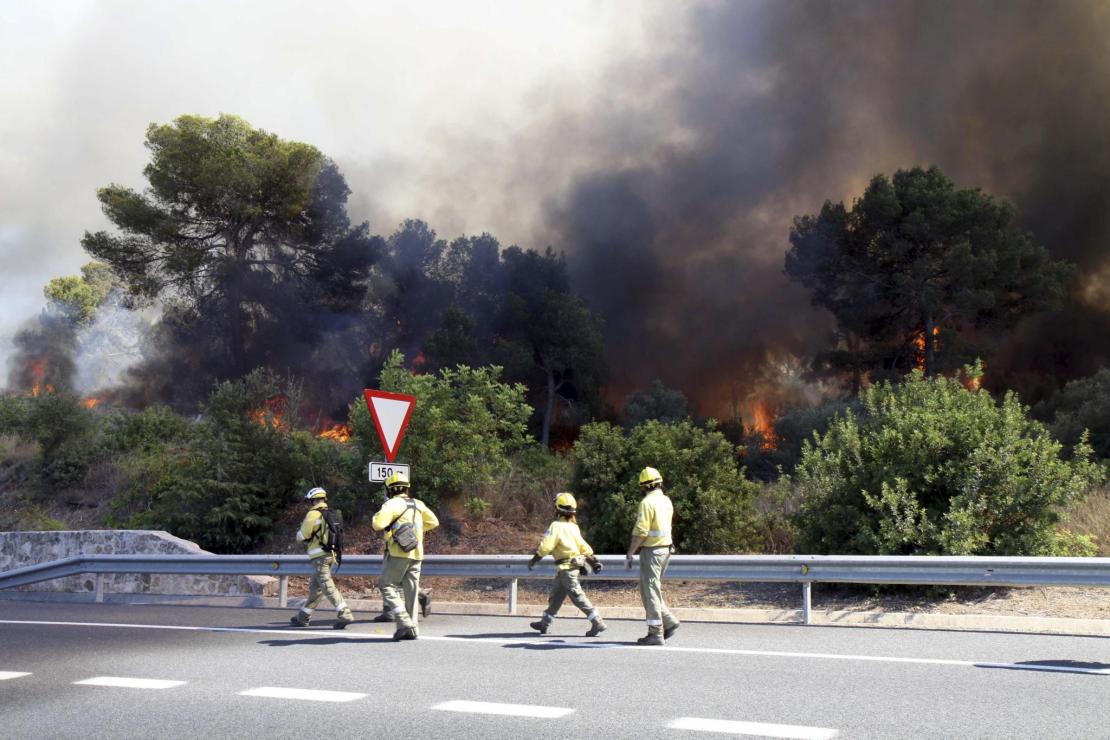 Die Flammen in Son Gual kamen der Landstraße gefährlich nahe.