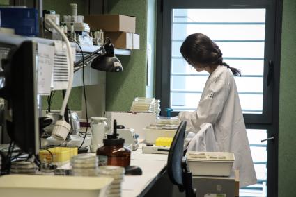 Ein Mitarbeiterin des Mikrobakteriologischen Instituts im Großklinikum Son Espases.