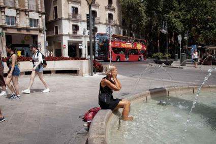 MACE zeigt: 190 Todesfälle durch Hitze auf Mallorca diesen Sommer