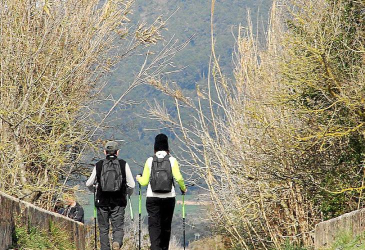 Wanderparadies S’Albufera: Besonders „Birdwatcher” kommen hier voll auf ihre Kosten. 