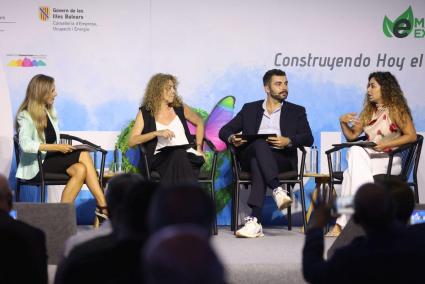 Zweite Podiumsdiskussion, vierte Sitzung eForum 2025