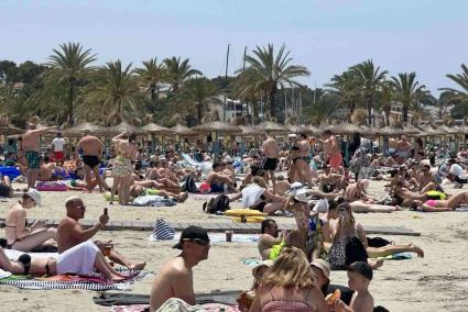 Massifizierung auf Mallorca: Forscher prognostizieren totale Apokalypse in einigen Jahren