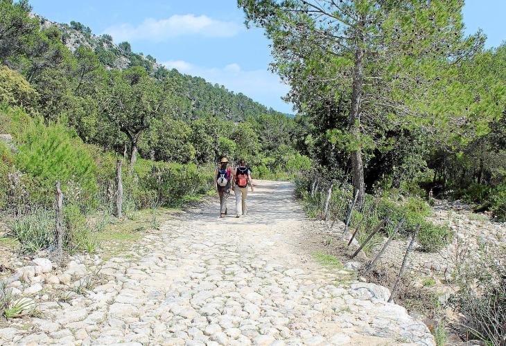 Die Wanderwege rund um "Galatzó" sind gut beschildert und meist leicht zu gehen. Die Routen dauern zwei bis vier Stunden.