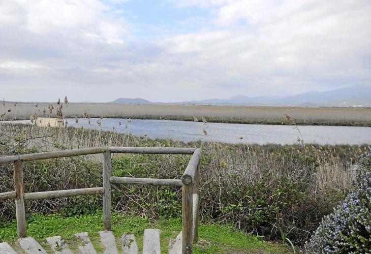 Ein System aus Kanälen, natürlichen Becken und Schleusen durchzieht den Naturpark bei Alcúdia.