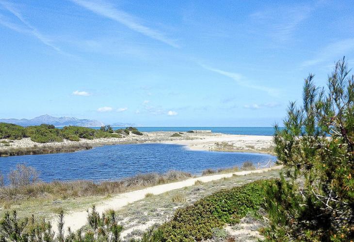 Beeindruckendes Bild: Die Dünenlandschaft bei Son Serra de Marina. 