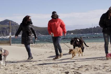 Hund und Herr sind vor allem in den Wintermonaten an den Stränden der Insel unterwegs.