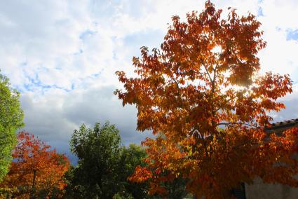 Herbstlich durchwachsen: So zeigt sich derzeit das Wetter auf Mallorca.