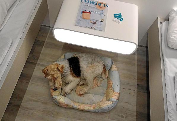 Auf MallorcaFähre dürfen nun auch Hunde mit in die Kabine