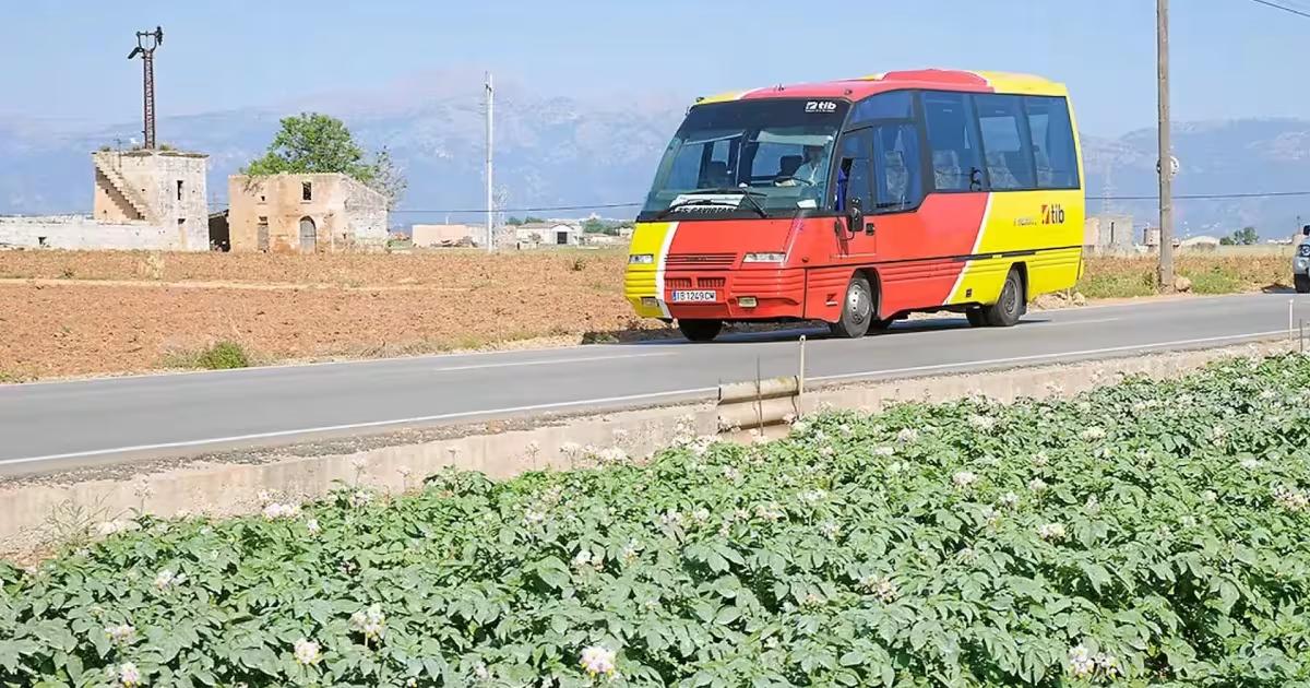 Insel Bus Per Bus über die Insel