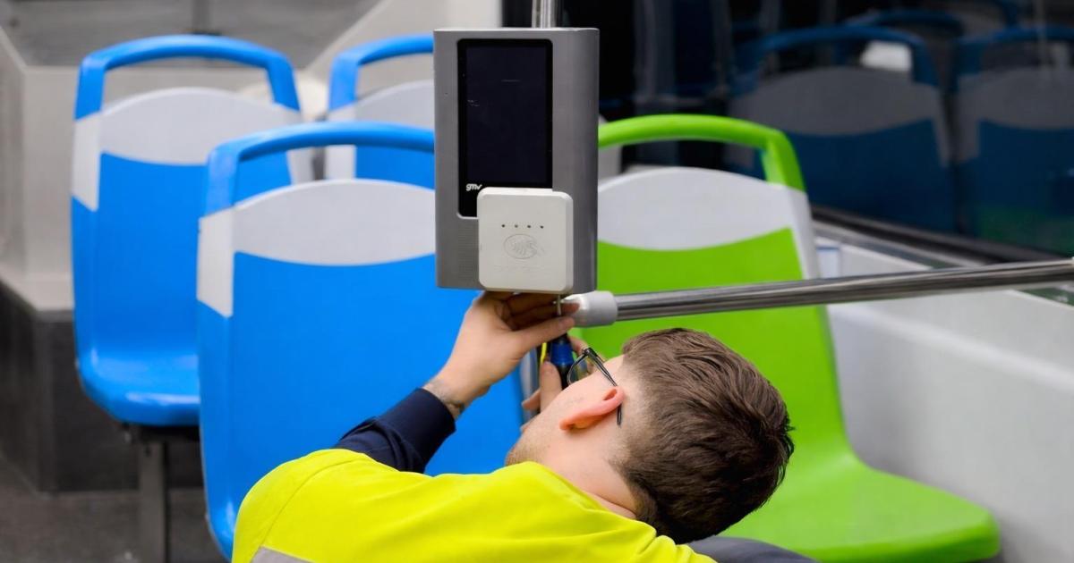 amp.mallorcamagazin.com