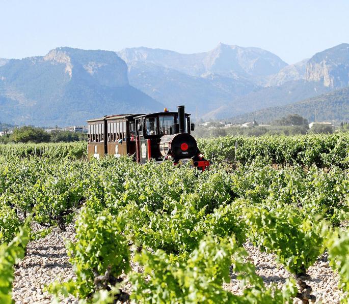 Weinausflug auf Mallorca.